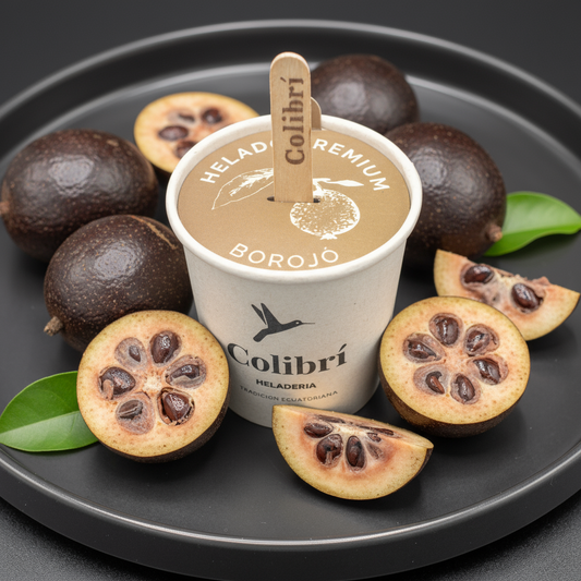 Helado Artesanal de BOROJÓ